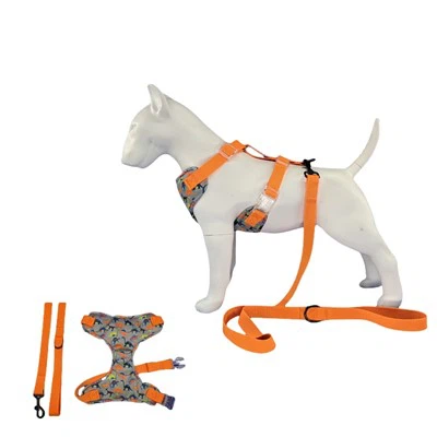 สายรัดสุนัขไดโนเสาร์