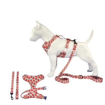 สายจูงสุนัขสาว