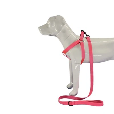 สายรัดสุนัขสีชมพูร้อน