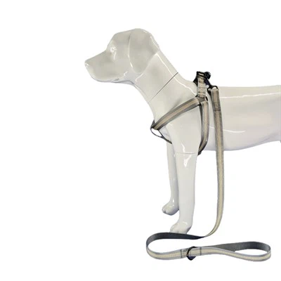 สายรัดอกสุนัขสีเทาสะท้อนแสง