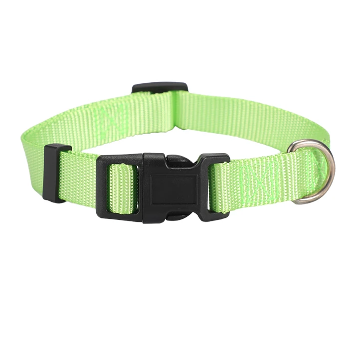 ปลอกคอสุนัข Webbing แบบธรรมดา